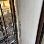 Segurcat valencia redes seguridad gatos ventana calle anclaje