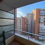 Segurcat valencia redes seguridad gatos balcón