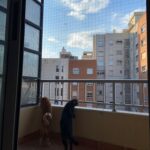 Segurcat valencia redes seguridad gatos balcón